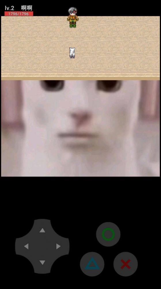 猫咪惊魂图2