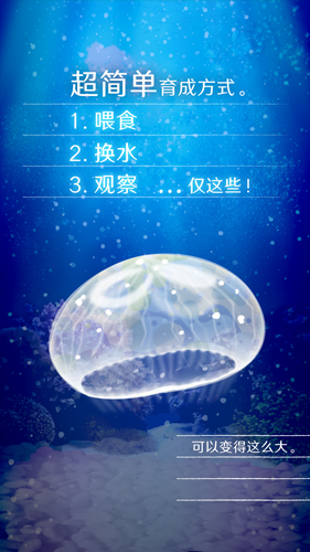 养育水母的治愈游戏 中文版图2