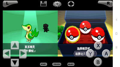 口袋妖怪黑白图3