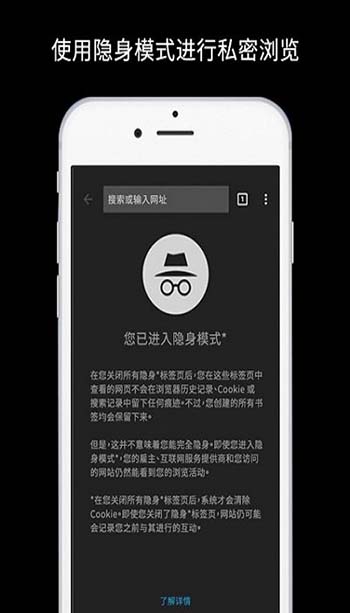 谷歌chrome浏览器 安卓版图4
